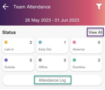 team-attendance