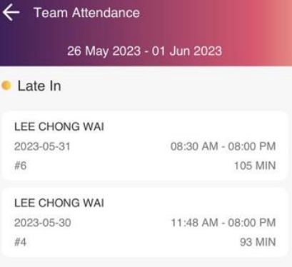 team-attendance-status-details-2