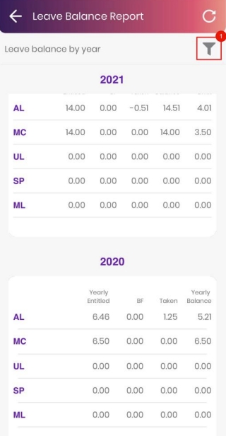 view-leave-balance